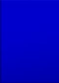 Education - Computer Based Training - Michigan - Blue Side