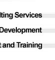 Consulting Services and Product Development